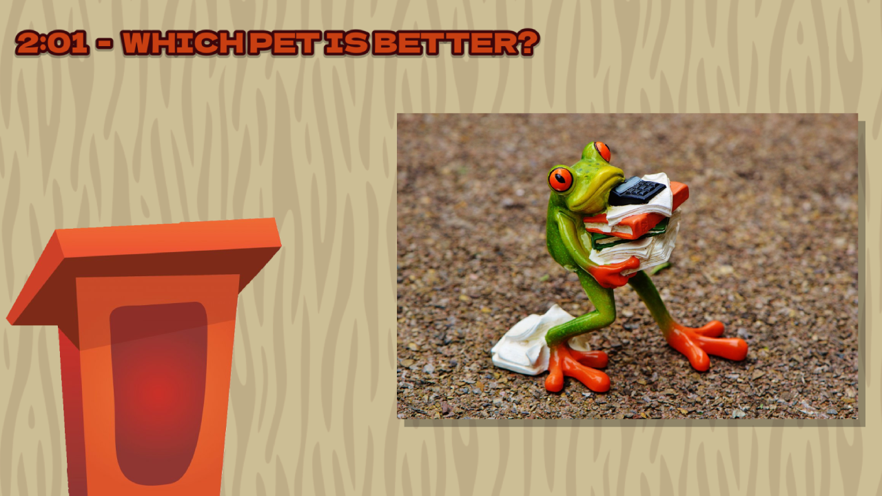 Debate Screen with Snap on Screen